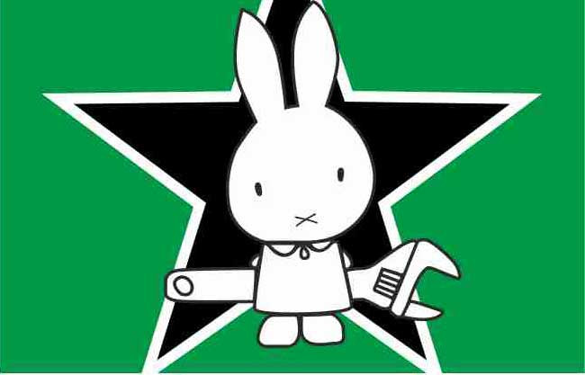 DIRECT ACTION FLAGGE