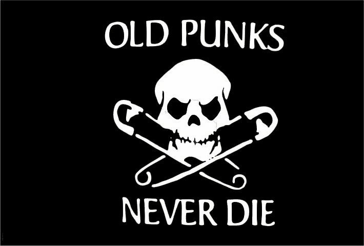 OLD PUNKS NEVER DIE FLAG