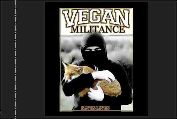 VEGAN MILITANCE FLAGGE
